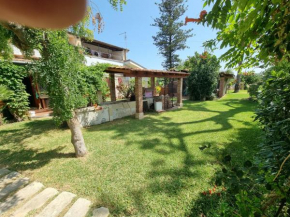 B&B Asparano, Ognina